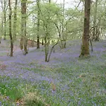 Slack Bed & Breakfast 4*
