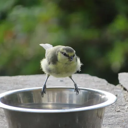 Bed and breakfast Slack High Wray