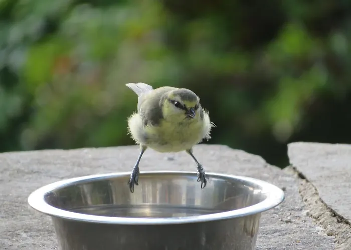 Bed and breakfast Slack High Wray