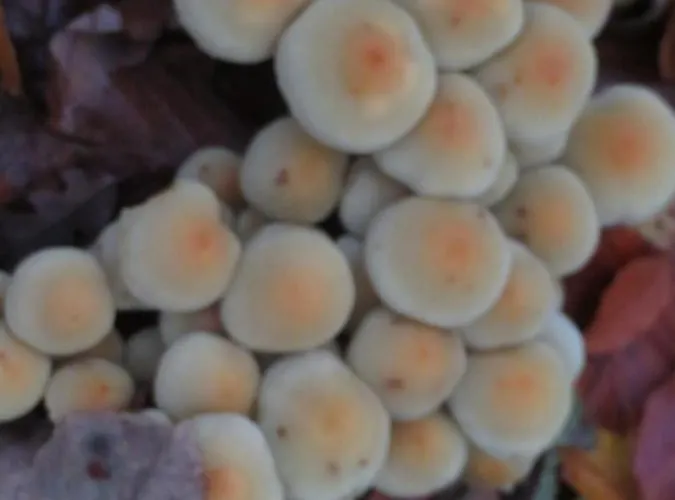 Slack Bed and breakfast