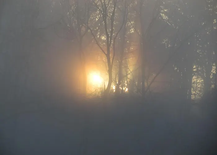 Bed and breakfast Slack