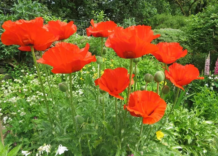 Slack Bed and breakfast High Wray