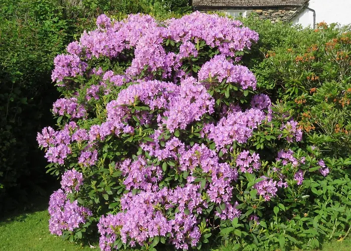 Bed and breakfast Slack