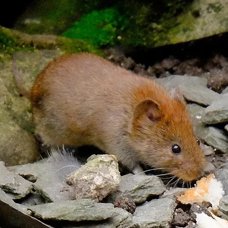 Bed & Breakfast Slack