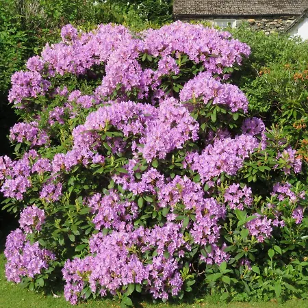 Bed & Breakfast Slack