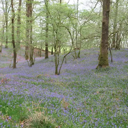 斯莱克住宿加早餐旅馆 住宿加早餐酒店 4*
